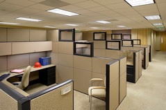photo of office renovations