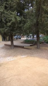 WP_20161012_010
