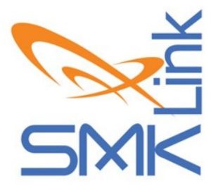 SM Link logo