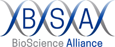 BSA logo