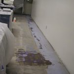 Gensia Sicor Building 17